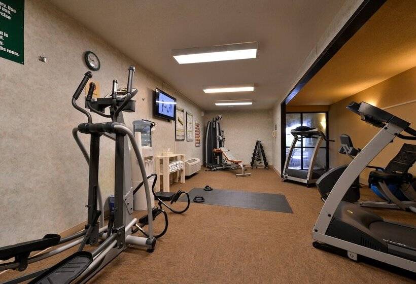 فندق Comfort Inn & Suites Black River Falls I94