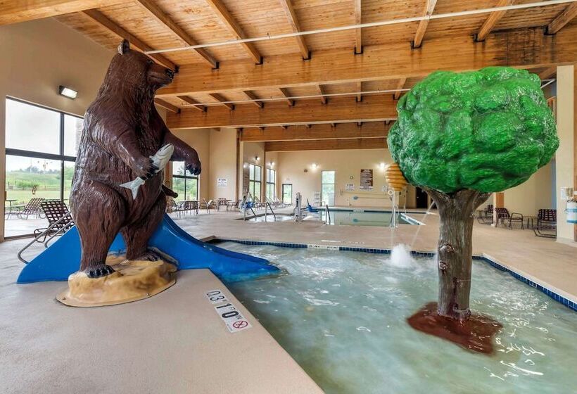 فندق Comfort Inn & Suites Black River Falls I94