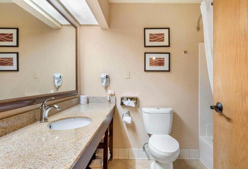 فندق Comfort Inn & Suites Black River Falls I94