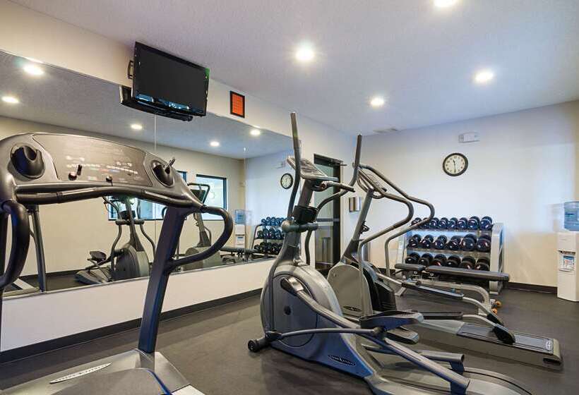 فندق Comfort Inn & Suites