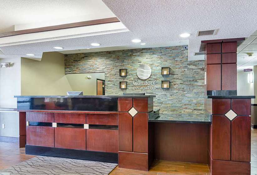 فندق Comfort Inn & Suites