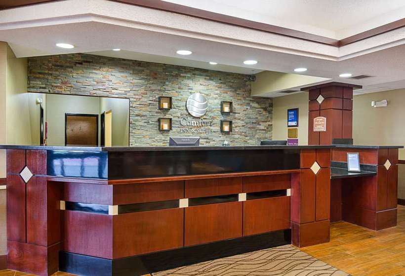 فندق Comfort Inn & Suites