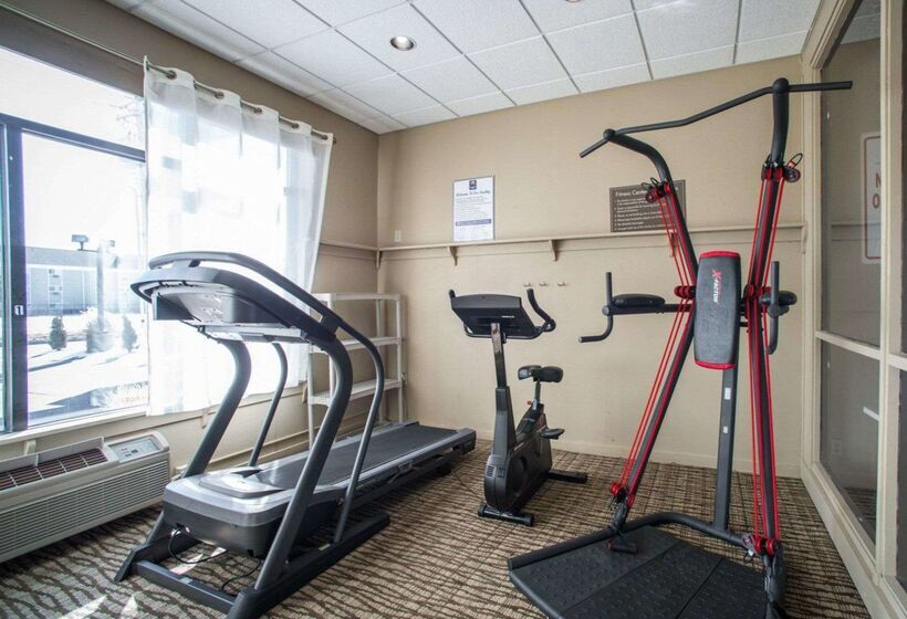 בית מלון כפרי Comfort Inn & Suites St. Louishazelwood