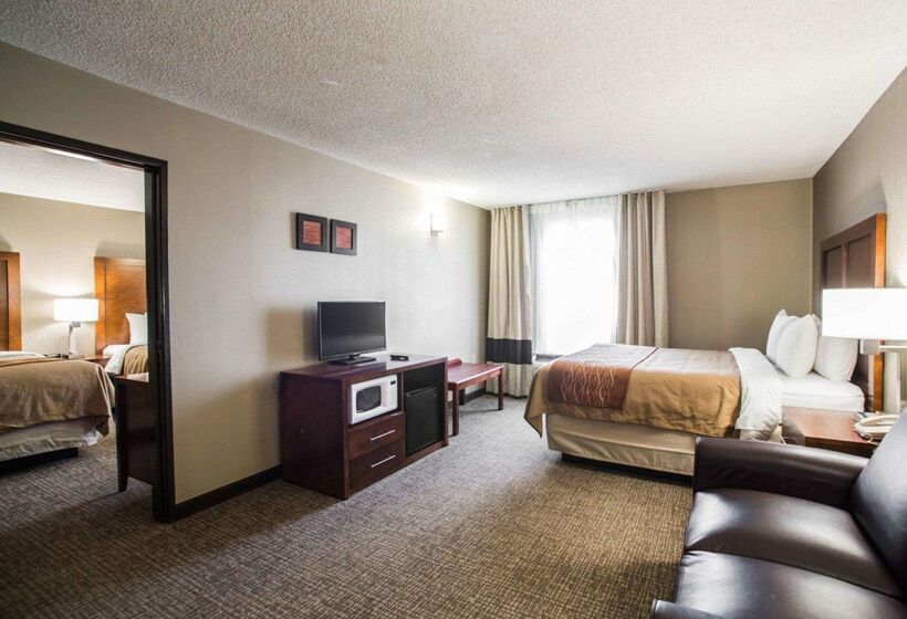 فندق Comfort Inn & Suites St. Louishazelwood