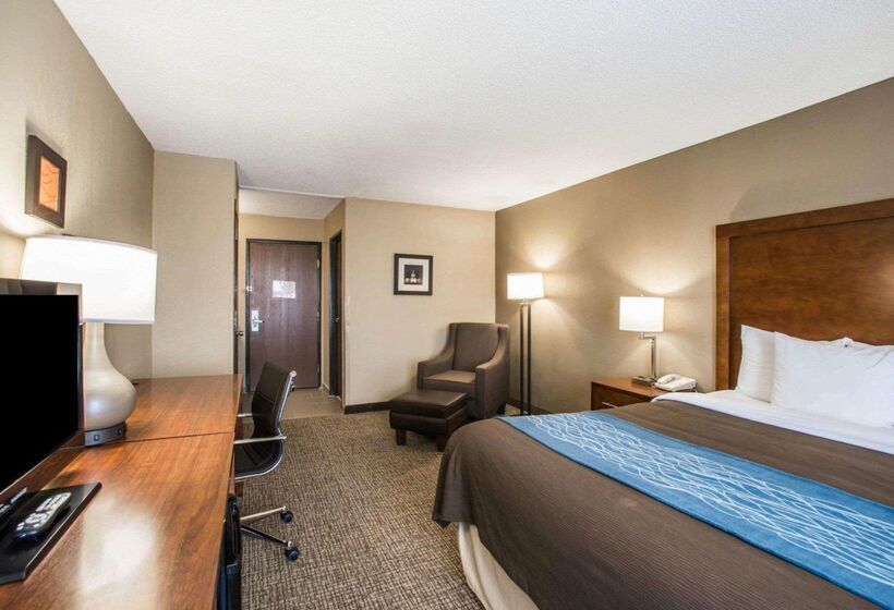 בית מלון כפרי Comfort Inn & Suites St. Louishazelwood