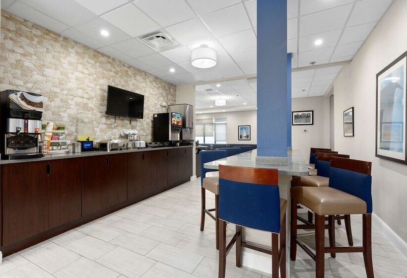 בית מלון כפרי Comfort Inn & Suites St. Louishazelwood