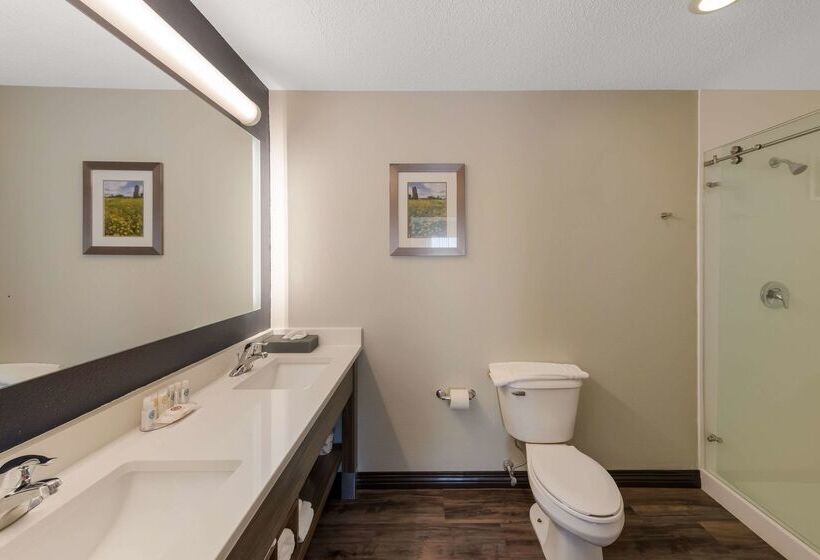 Отель Comfort Inn & Suites Tipp City Dayton North I 75