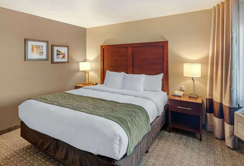 هتل Comfort Inn University