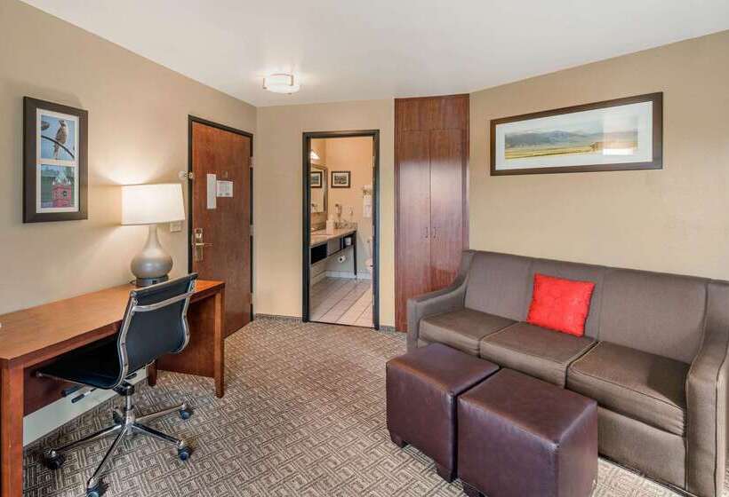 هتل Comfort Inn University