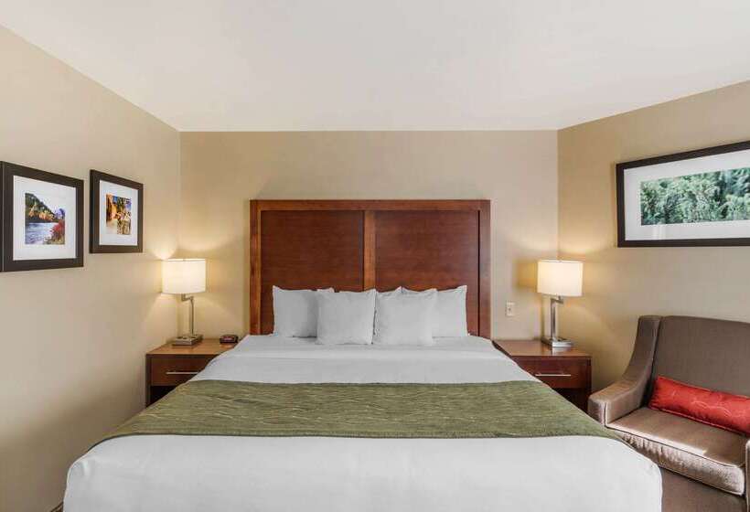 هتل Comfort Inn University