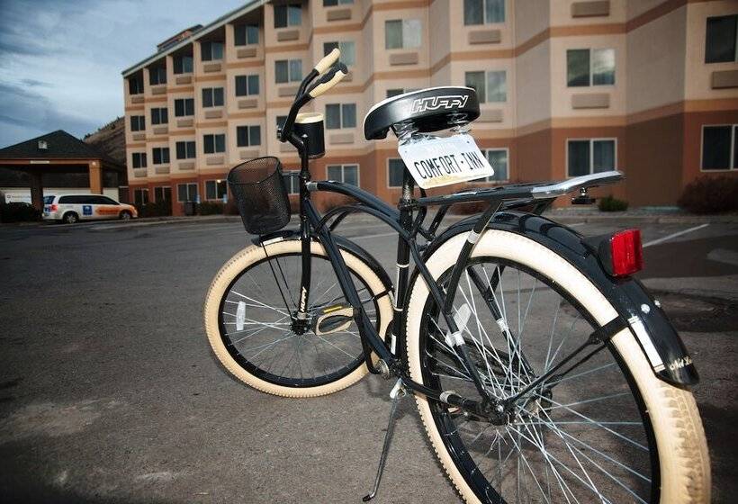 هتل Comfort Inn University