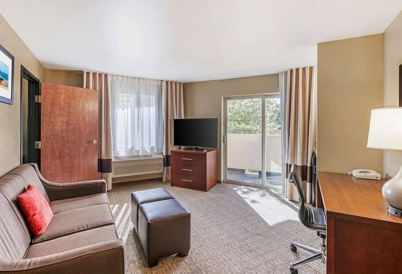 هتل Comfort Inn University