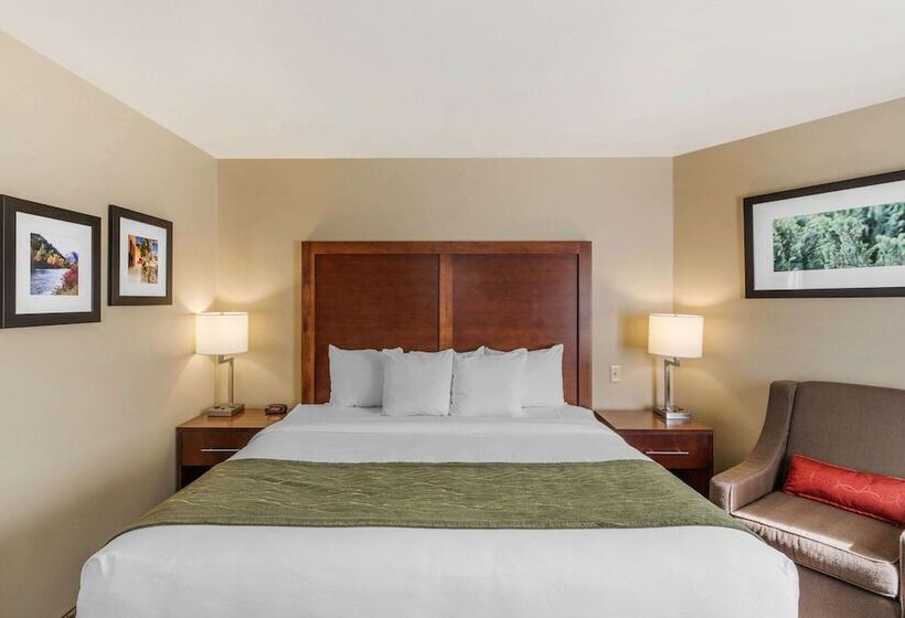 هتل Comfort Inn University