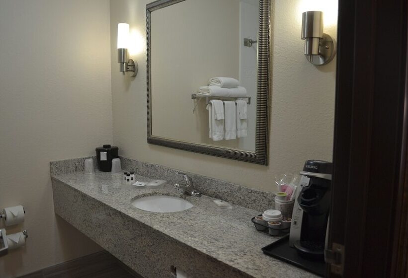 בית מלון כפרי Country Inn & Suites By Radisson, Abingdon, Va