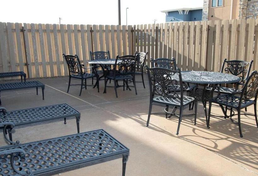 בית מלון כפרי Country Inn & Suites By Radisson, Garden City, Ks