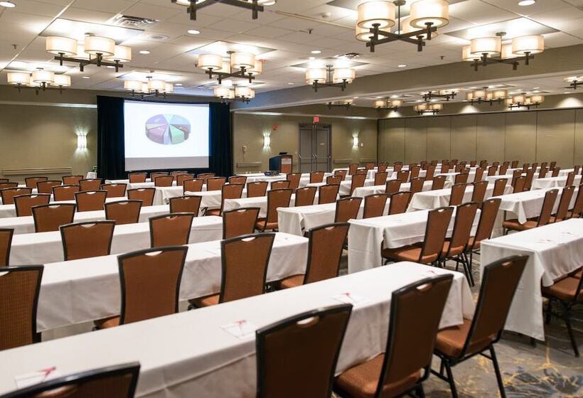 酒店 Crowne Plaza Suites Msp Airport   Mall Of America, An Ihg