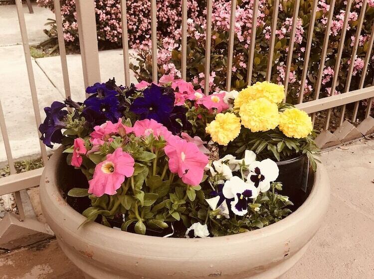 호텔 D Lins Ontario Airport