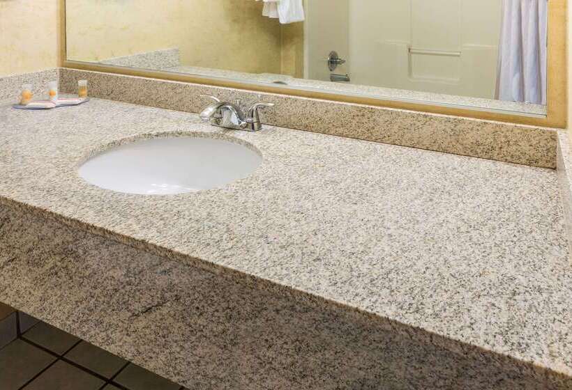 Отель Days Inn & Suites By Wyndham Vancouver