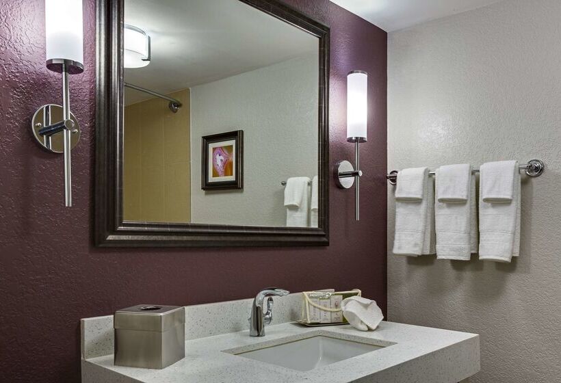 Doubletree By Hilton Hotel Orlando East   Ucf Area