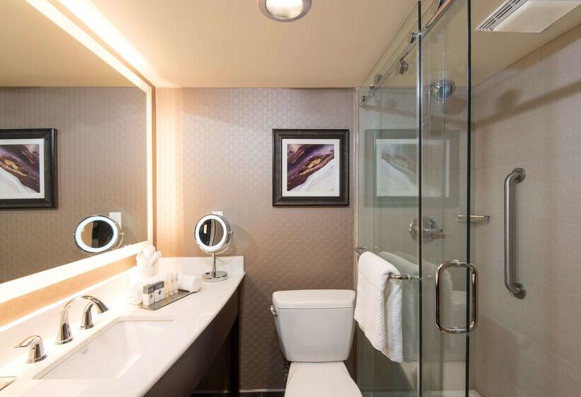 בית מלון כפרי Doubletree By Hilton Schenectady Downtown