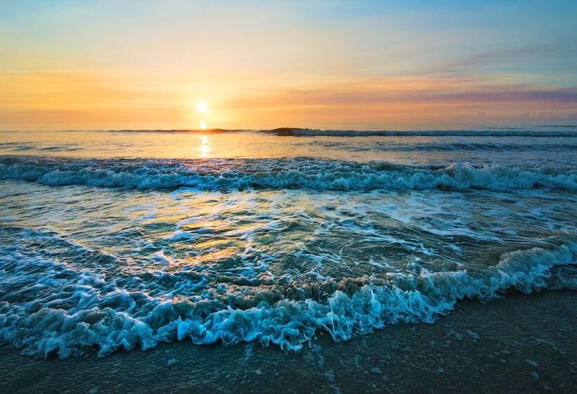 酒店 Guy Harvey Resort On Saint Augustine Beach