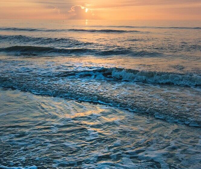 فندق Guy Harvey Resort On Saint Augustine Beach