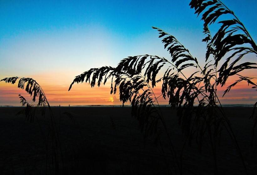 فندق Guy Harvey Resort On Saint Augustine Beach