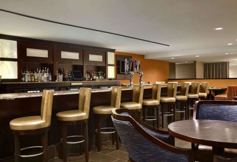 בית מלון כפרי Hilton New York Jfk Airport