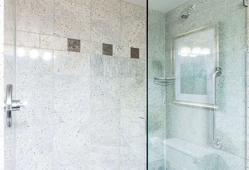 בית מלון כפרי Hilton New York Jfk Airport