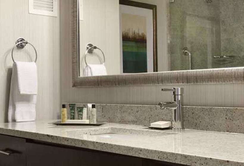 בית מלון כפרי Hilton New York Jfk Airport