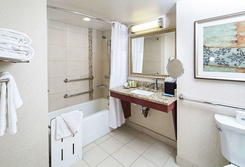 בית מלון כפרי Hilton New York Jfk Airport