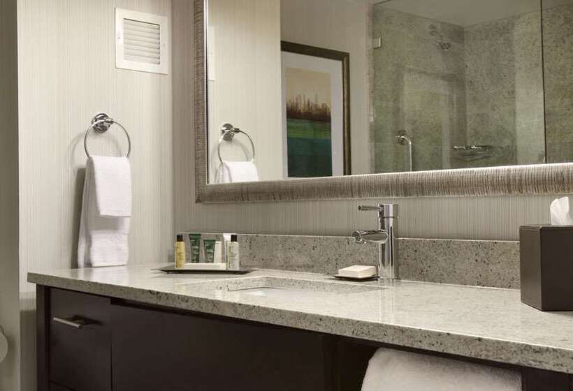 בית מלון כפרי Hilton New York Jfk Airport