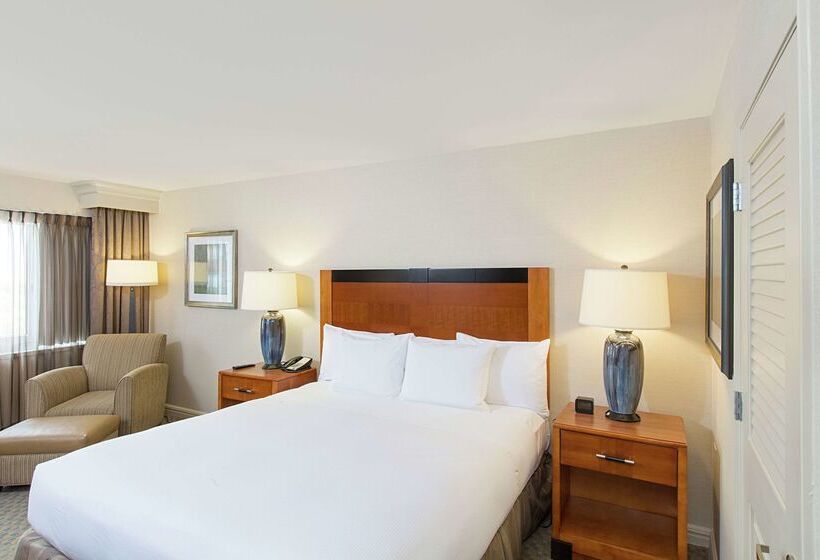 בית מלון כפרי Hilton New York Jfk Airport