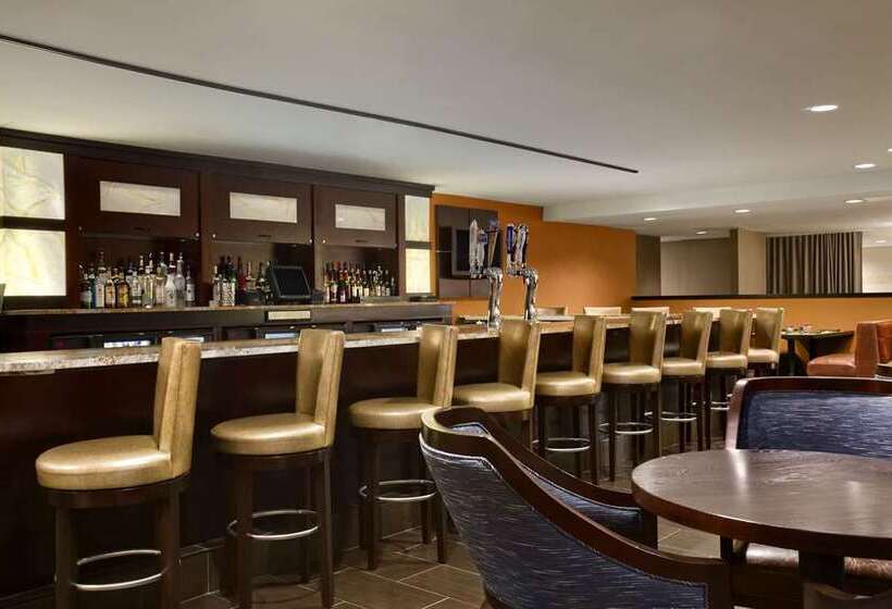 בית מלון כפרי Hilton New York Jfk Airport