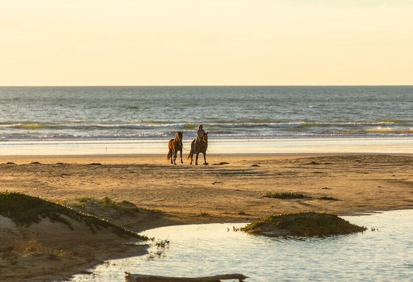 בית מלון כפרי Holiday Inn & Suites Santa Maria, An Ihg