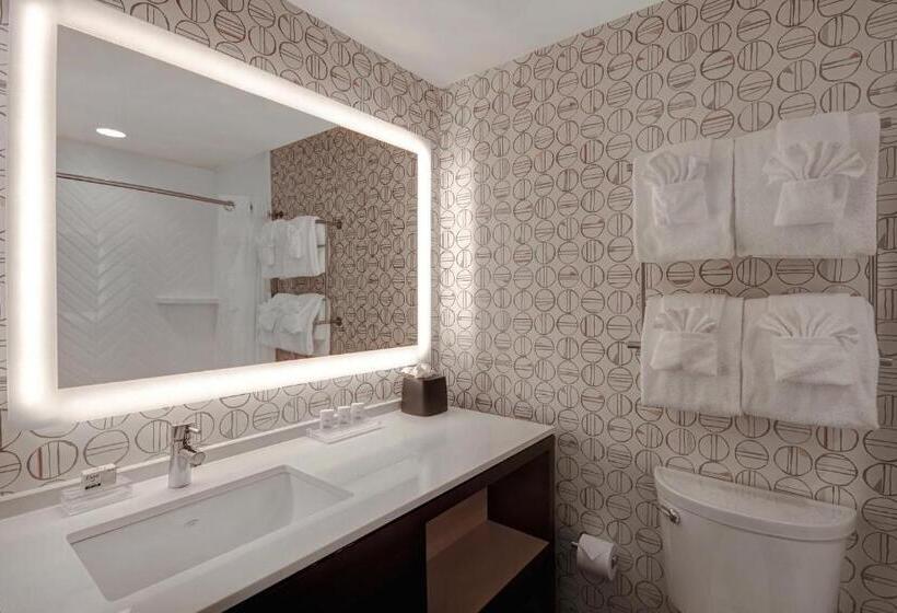 Отель Holiday Inn Detroit Northwest   Livonia, An Ihg