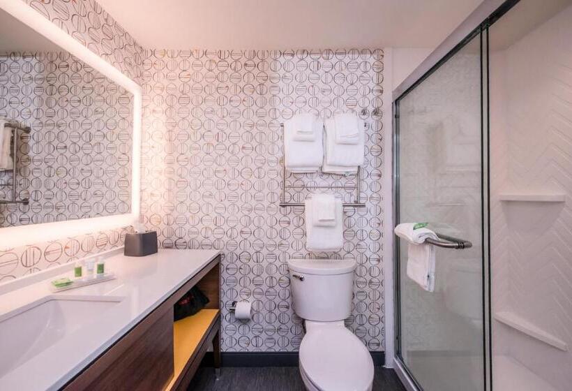 Отель Holiday Inn Detroit Northwest   Livonia, An Ihg