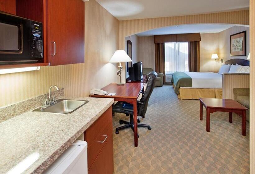 فندق Holiday Inn Express  & Suites Lansingleavenworth