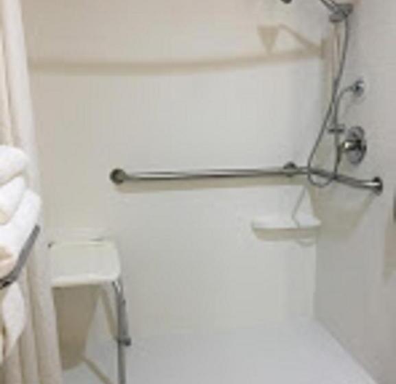 בית מלון כפרי Holiday Inn Express Easton, An Ihg