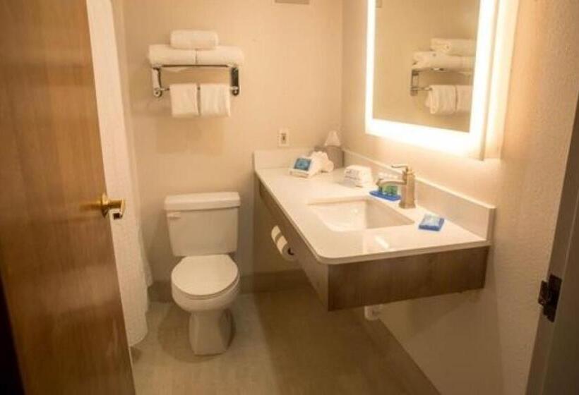 בית מלון כפרי Holiday Inn Express Easton, An Ihg