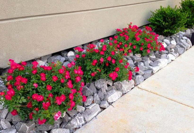 فندق Holiday Inn Express & Suites Jackson Downtown   Coliseum, An Ihg