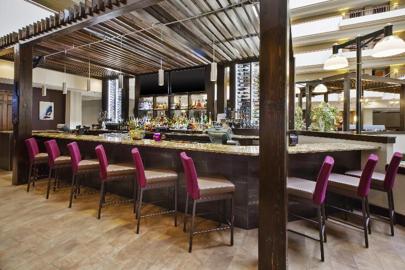 בית מלון כפרי Holiday Inn Rapid City   Rushmore Plaza, An Ihg