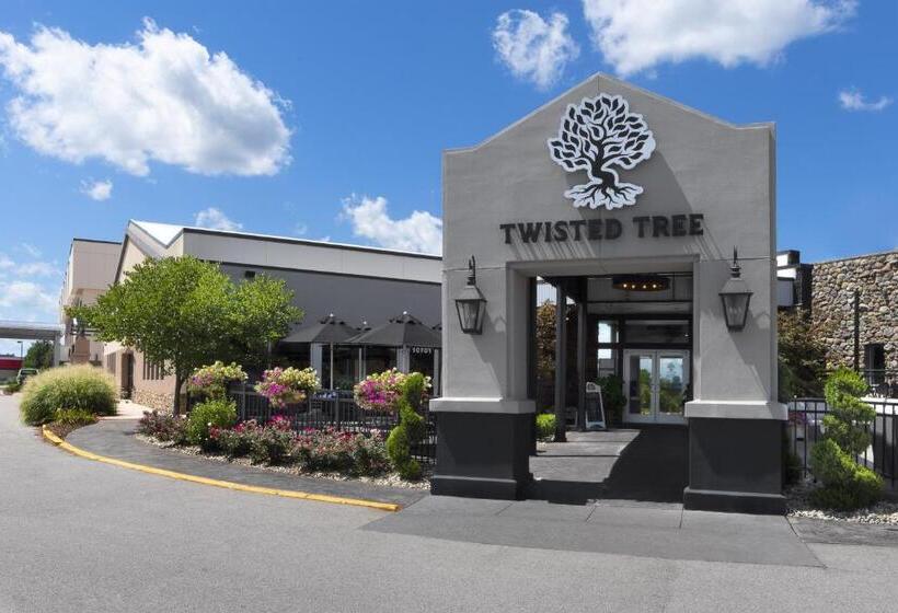 فندق Holiday Inn St Louis Sw   Route 66, An Ihg