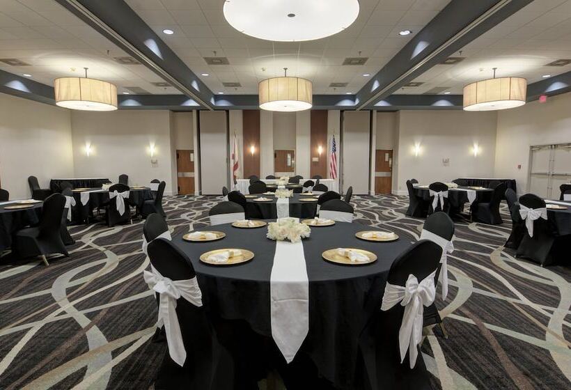 فندق Holiday Inn St. Petersburg N   Clearwater, An Ihg