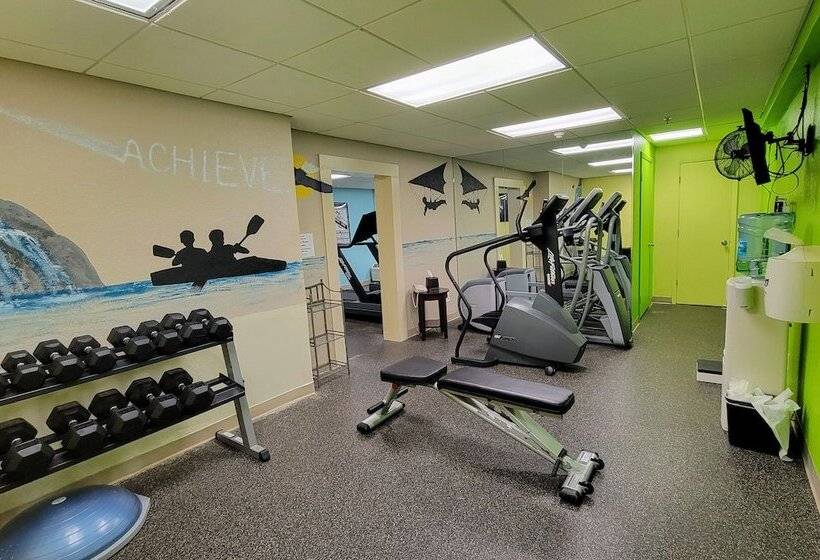 בית מלון כפרי Holiday Inn St. Petersburg N   Clearwater, An Ihg