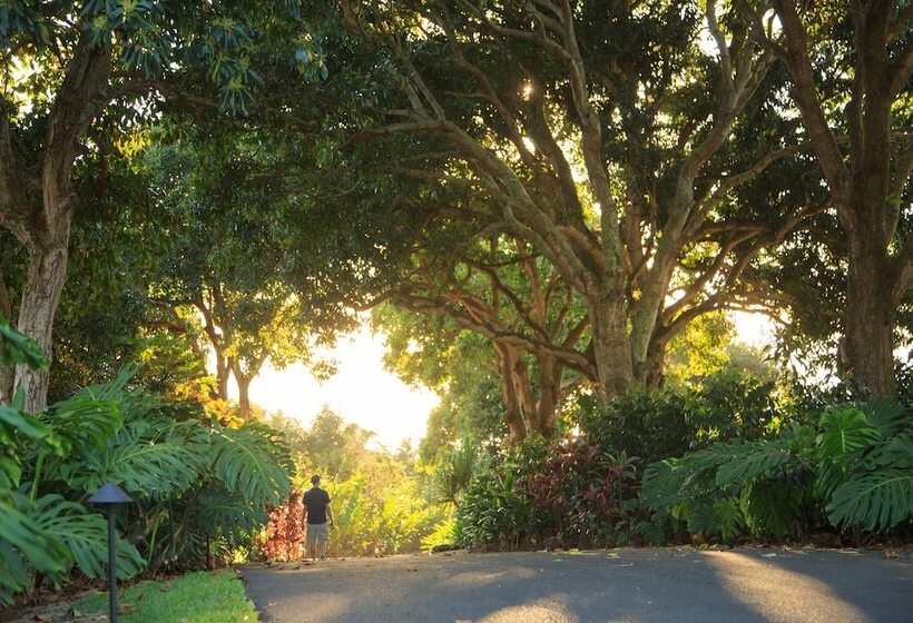 فندق Holualoa Inn