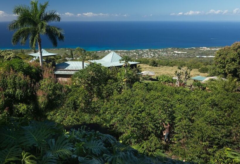 فندق Holualoa Inn