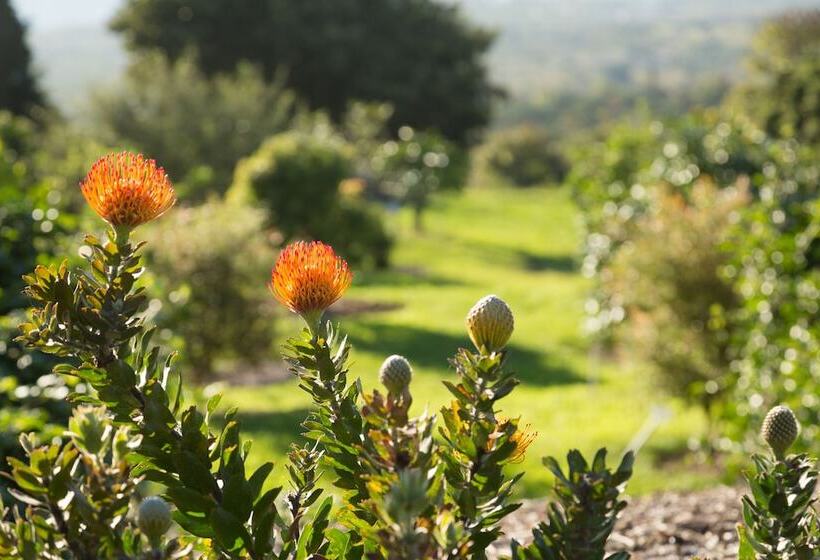 فندق Holualoa Inn