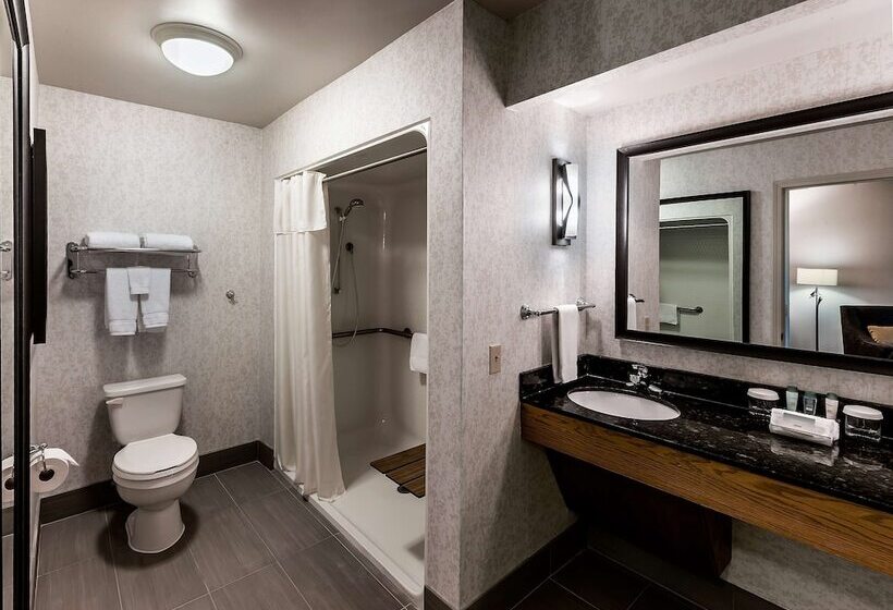 Отель Homewood Suites By Hilton Buffaloairport