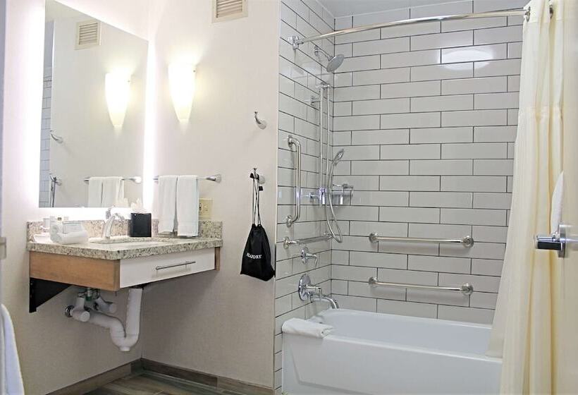 هتل Homewood Suites By Hilton Chicagodowntown